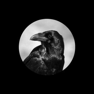 天天操天天操天天操
