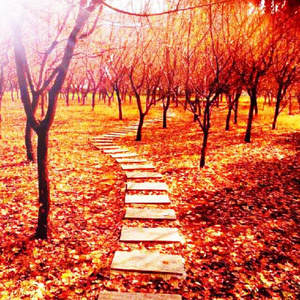 天天操天天操天天操
