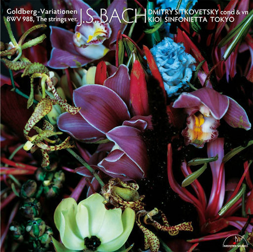 天天操天天操天天操
